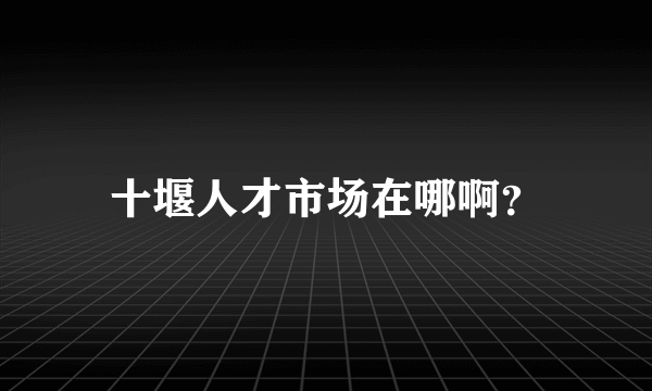 十堰人才市场在哪啊？