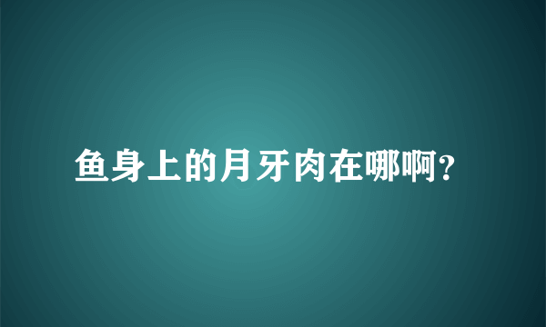 鱼身上的月牙肉在哪啊？