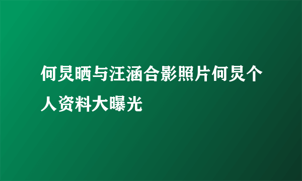 何炅晒与汪涵合影照片何炅个人资料大曝光