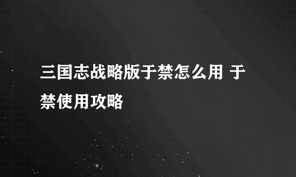 三国志战略版于禁怎么用 于禁使用攻略