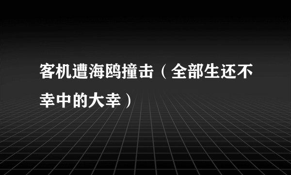 客机遭海鸥撞击（全部生还不幸中的大幸）