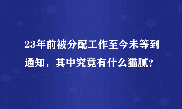 23年前被分配工作至今未等到通知，其中究竟有什么猫腻？