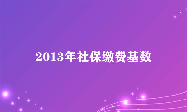 2013年社保缴费基数