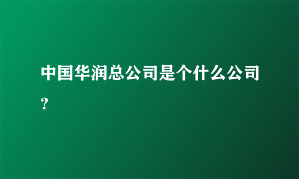 中国华润总公司是个什么公司？