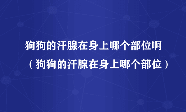 狗狗的汗腺在身上哪个部位啊（狗狗的汗腺在身上哪个部位）