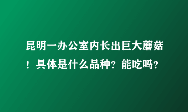 昆明一办公室内长出巨大蘑菇！具体是什么品种？能吃吗？