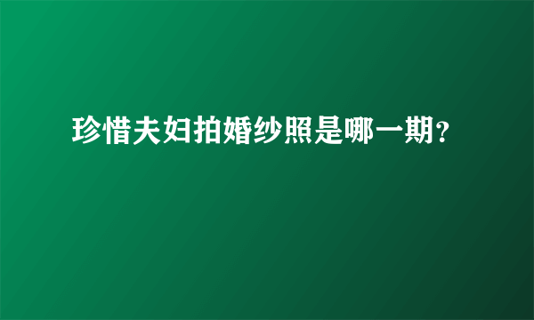 珍惜夫妇拍婚纱照是哪一期？