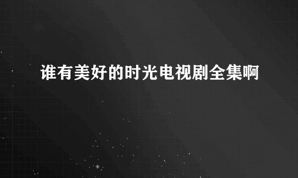 谁有美好的时光电视剧全集啊