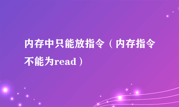 内存中只能放指令（内存指令不能为read）