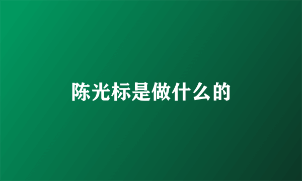 陈光标是做什么的