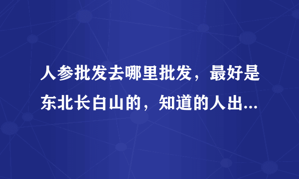 人参批发去哪里批发，最好是东北长白山的，知道的人出来说说。