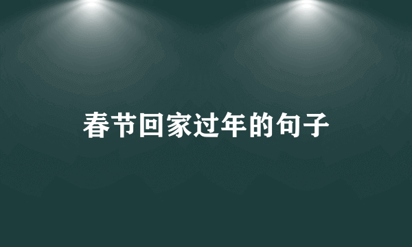 春节回家过年的句子