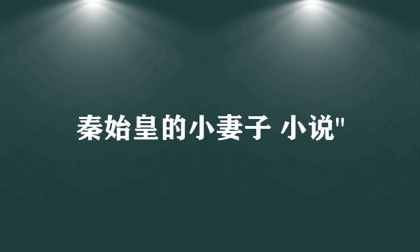 秦始皇的小妻子 小说