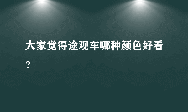 大家觉得途观车哪种颜色好看？