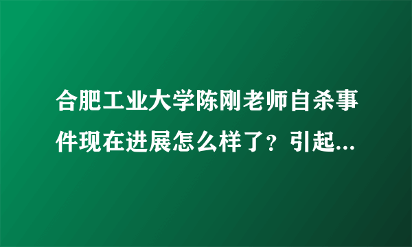 合肥工业大学陈刚老师自杀事件现在进展怎么样了？引起相关部门的重视了吗？