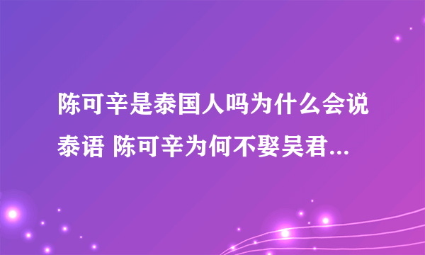 陈可辛是泰国人吗为什么会说泰语 陈可辛为何不娶吴君如感情好吗