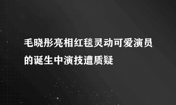 毛晓彤亮相红毯灵动可爱演员的诞生中演技遭质疑