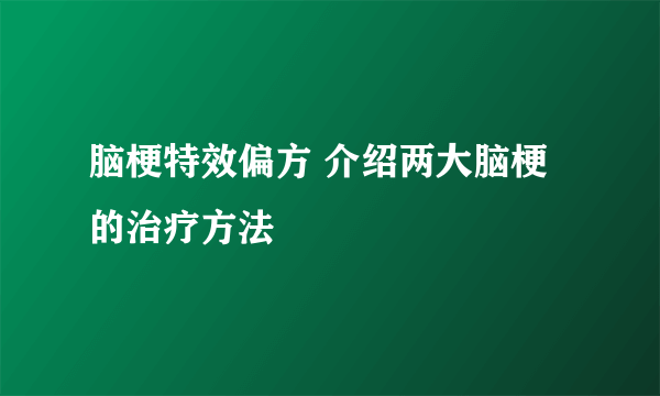 脑梗特效偏方 介绍两大脑梗的治疗方法