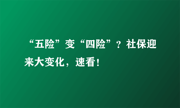 “五险”变“四险”？社保迎来大变化，速看！