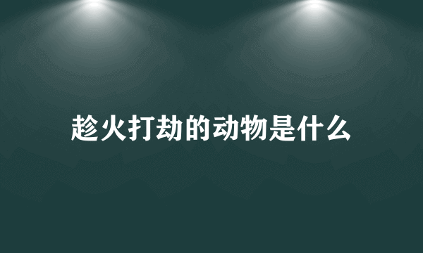 趁火打劫的动物是什么