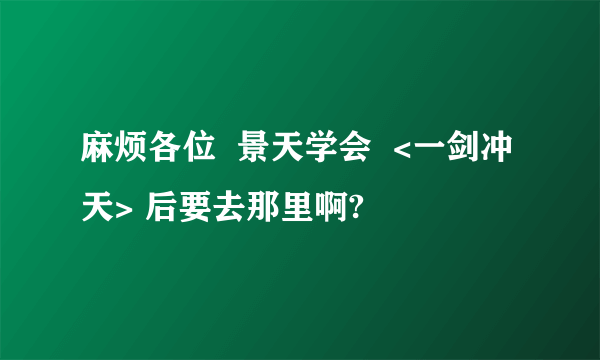 麻烦各位  景天学会  <一剑冲天> 后要去那里啊?