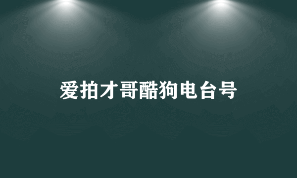 爱拍才哥酷狗电台号