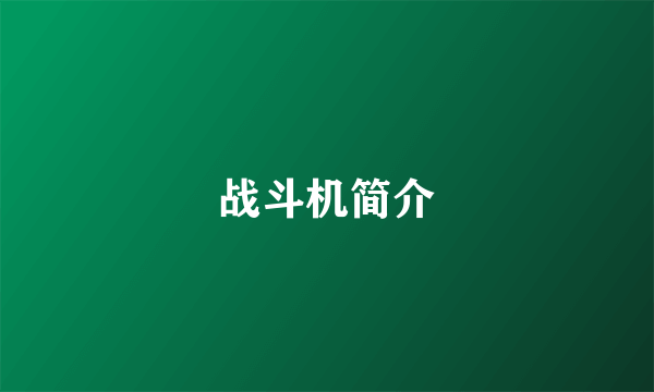 战斗机简介