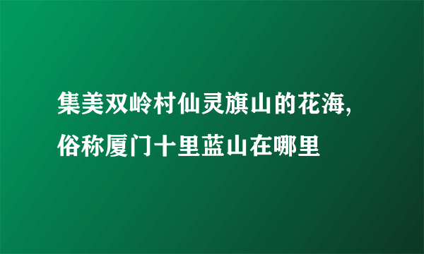 集美双岭村仙灵旗山的花海,俗称厦门十里蓝山在哪里