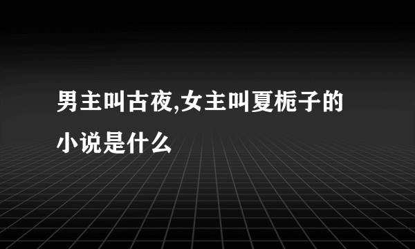 男主叫古夜,女主叫夏栀子的小说是什么