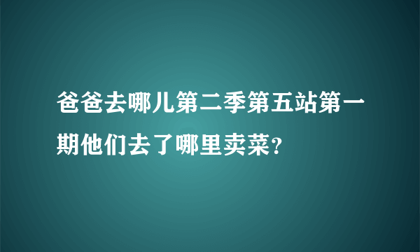 爸爸去哪儿第二季第五站第一期他们去了哪里卖菜？