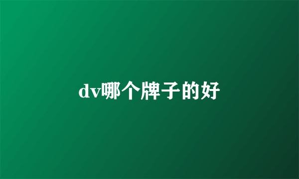 dv哪个牌子的好