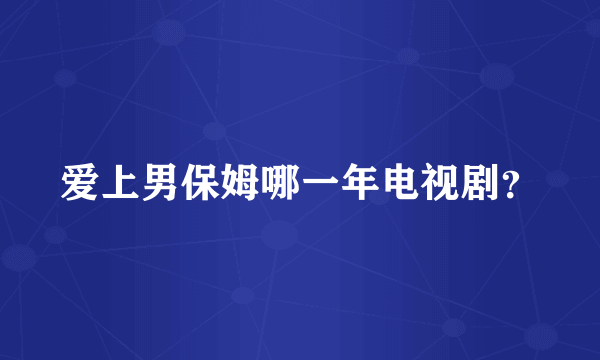 爱上男保姆哪一年电视剧？