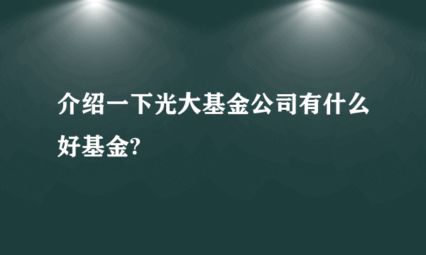 介绍一下光大基金公司有什么好基金?