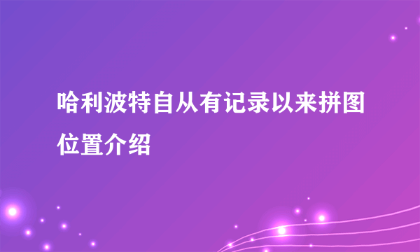 哈利波特自从有记录以来拼图位置介绍