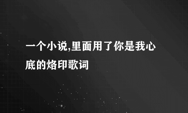 一个小说,里面用了你是我心底的烙印歌词