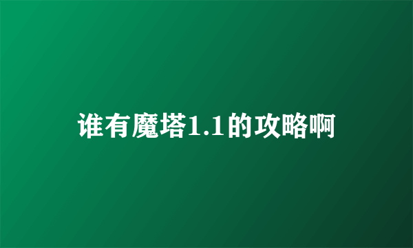 谁有魔塔1.1的攻略啊