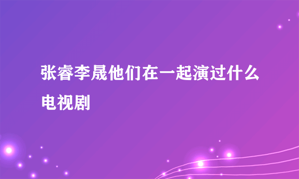 张睿李晟他们在一起演过什么电视剧