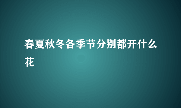 春夏秋冬各季节分别都开什么花