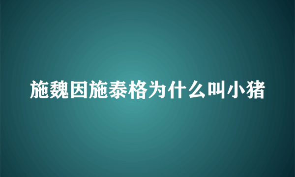 施魏因施泰格为什么叫小猪