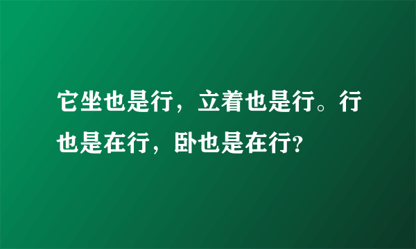 它坐也是行，立着也是行。行也是在行，卧也是在行？