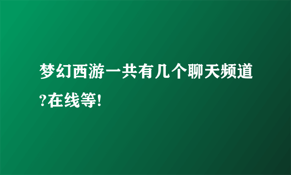 梦幻西游一共有几个聊天频道?在线等!