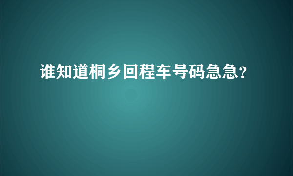 谁知道桐乡回程车号码急急？