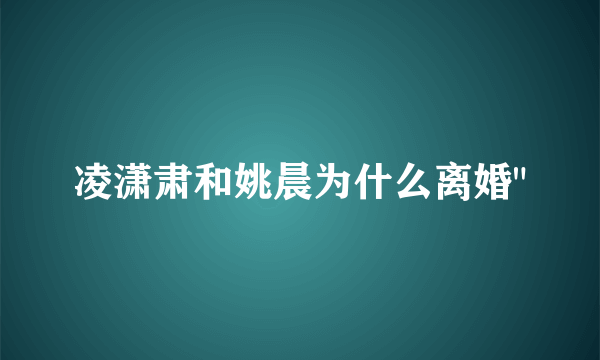 凌潇肃和姚晨为什么离婚