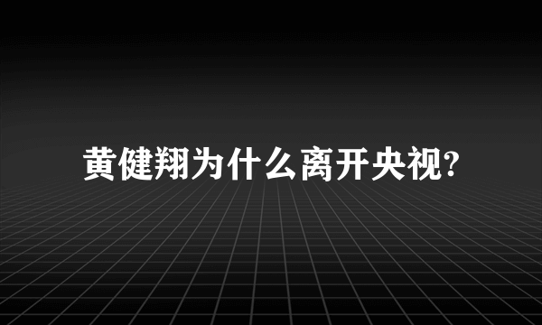 黄健翔为什么离开央视?