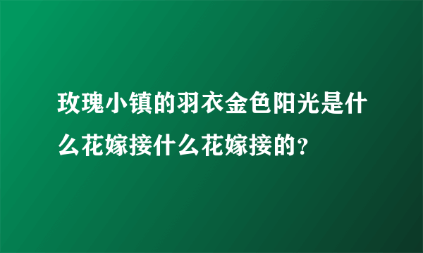 玫瑰小镇的羽衣金色阳光是什么花嫁接什么花嫁接的？