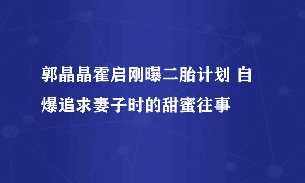 郭晶晶霍启刚曝二胎计划 自爆追求妻子时的甜蜜往事