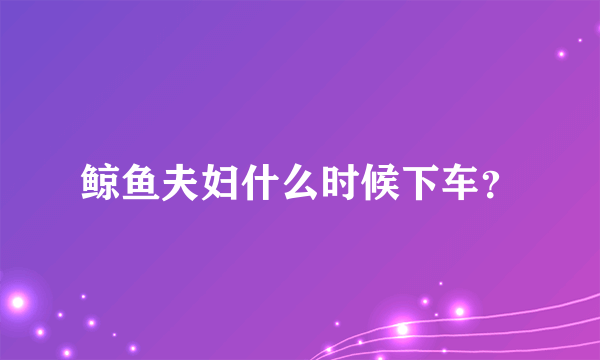 鲸鱼夫妇什么时候下车？