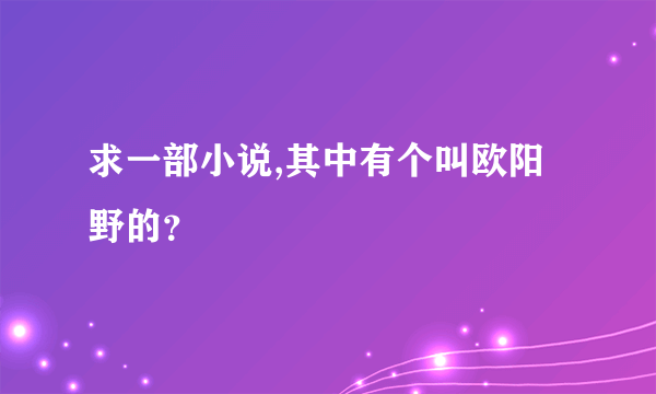 求一部小说,其中有个叫欧阳野的？