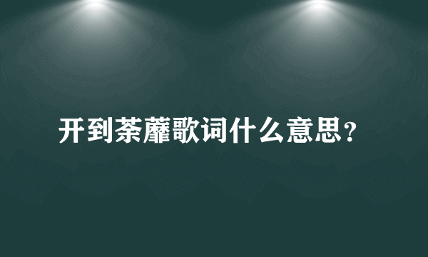 开到荼蘼歌词什么意思？