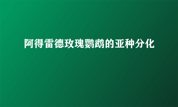 阿得雷德玫瑰鹦鹉的亚种分化